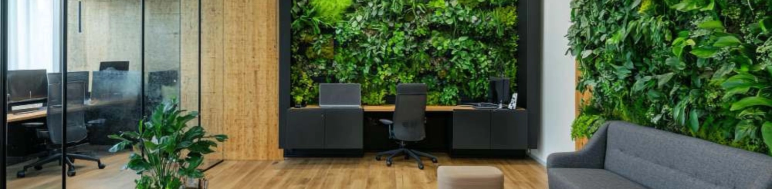 Bureau moderne avec des murs verts